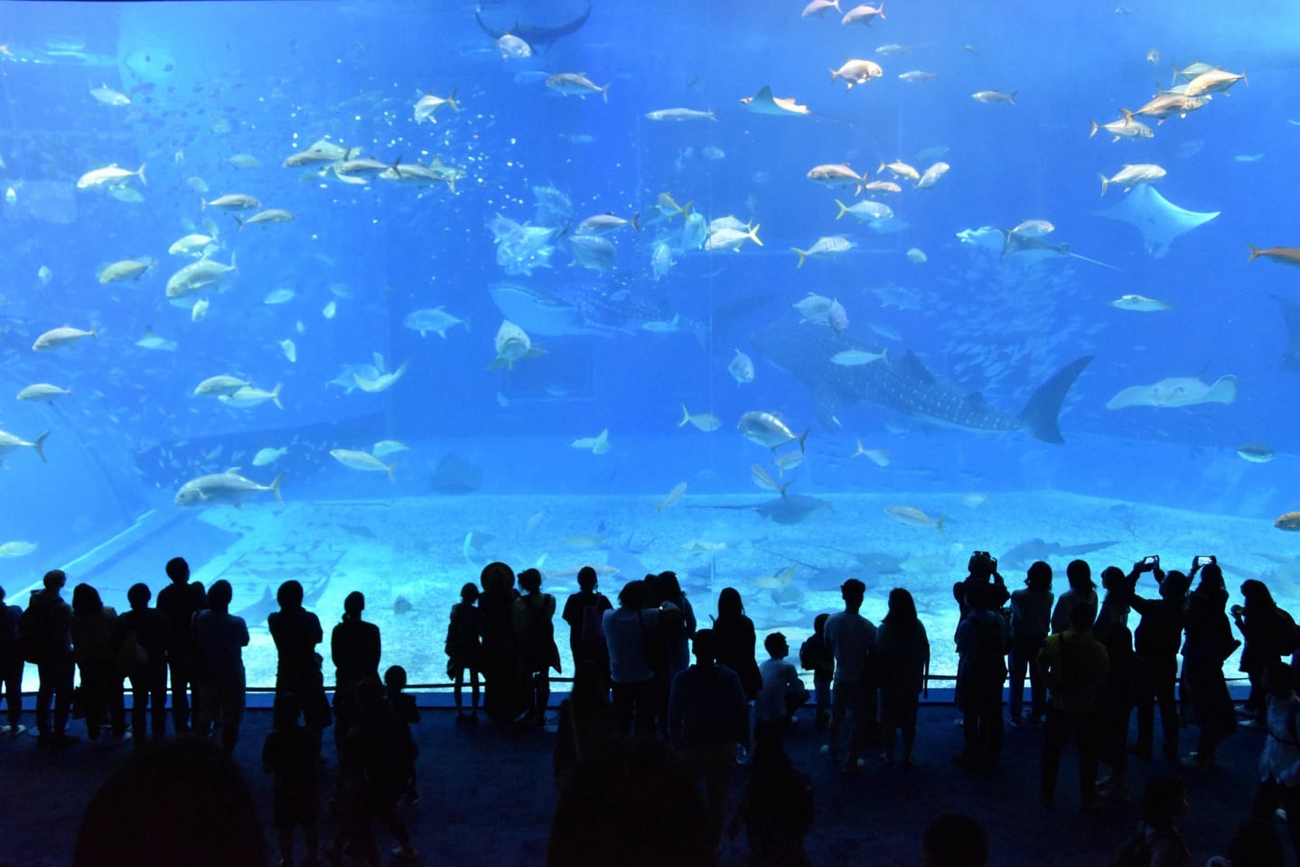 educational Aquariums